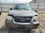 2005 Ford Escape Limited