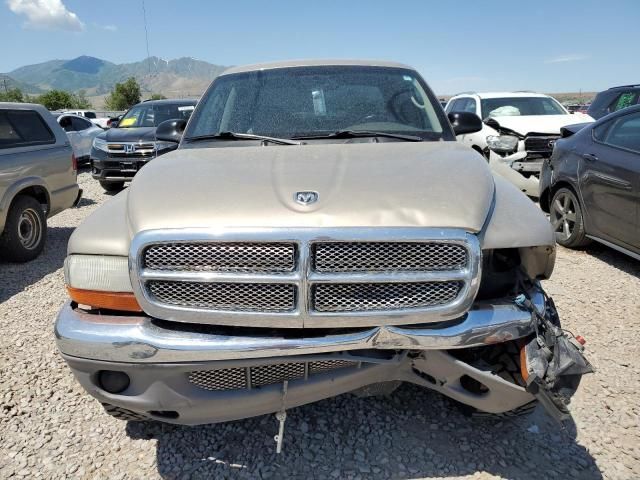 2003 Dodge Dakota Quad SLT