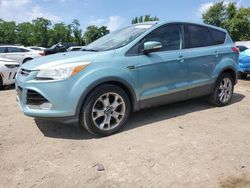 Ford Escape sel salvage cars for sale: 2013 Ford Escape SEL