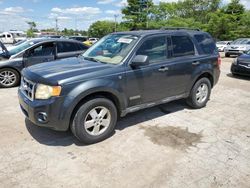 Salvage cars for sale at Lexington, KY auction: 2008 Ford Escape XLT