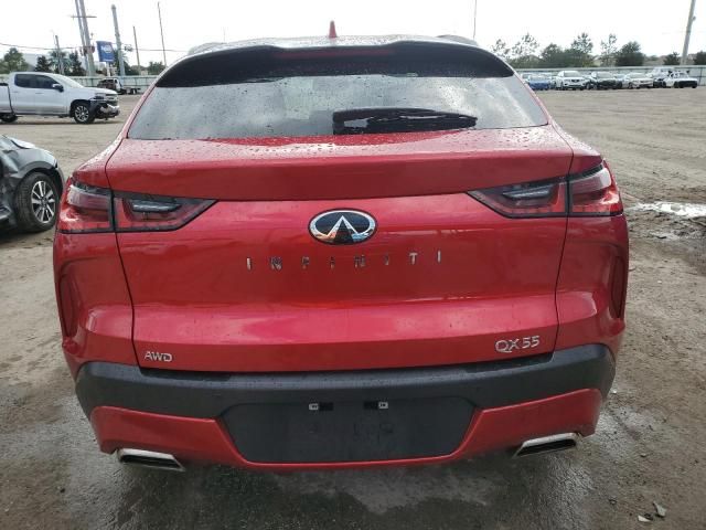 2023 Infiniti QX55 Sensory