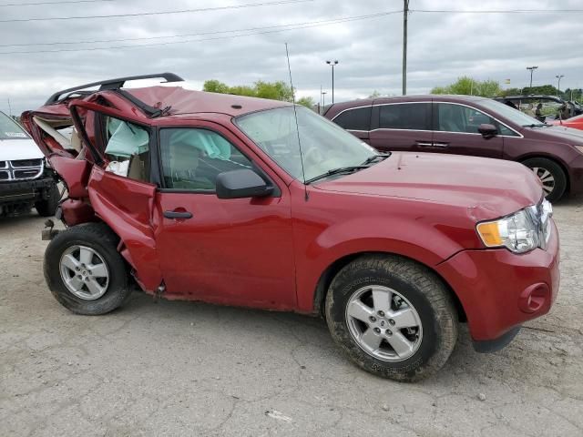 2011 Ford Escape XLT