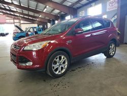 Clean Title Cars for sale at auction: 2013 Ford Escape SEL