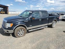 Salvage trucks for sale at Helena, MT auction: 2011 Ford F150 Supercrew