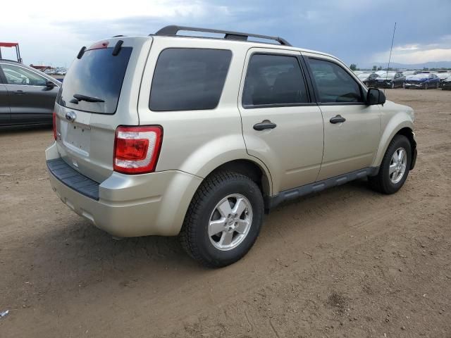 2011 Ford Escape XLT