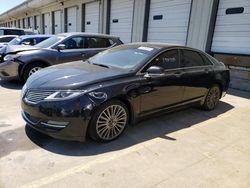 Salvage cars for sale at Louisville, KY auction: 2014 Lincoln MKZ