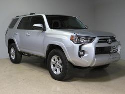 Compre carros salvage a la venta ahora en subasta: 2023 Toyota 4runner SE