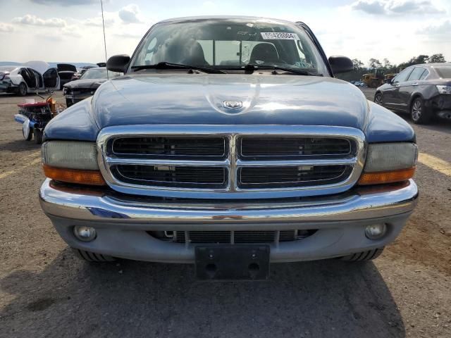 2004 Dodge Dakota SLT