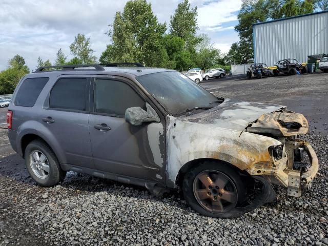 2008 Ford Escape XLT