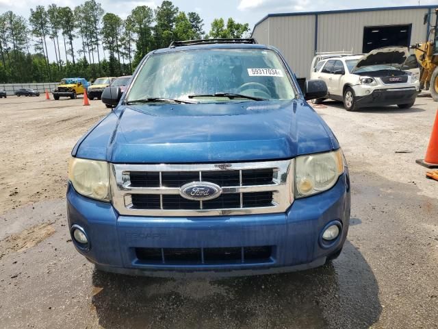 2008 Ford Escape XLT