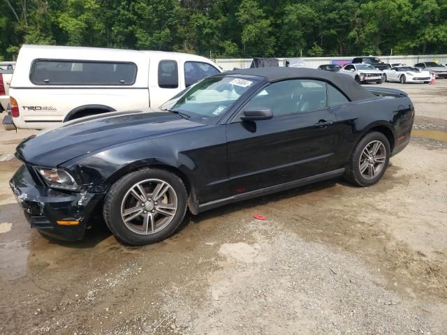 2010 Ford Mustang