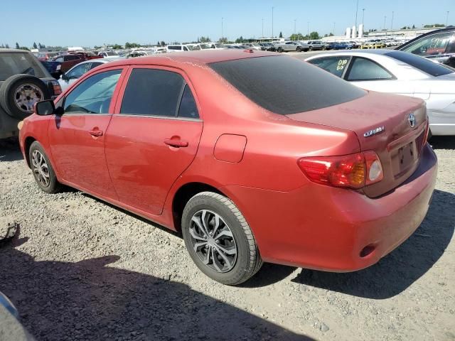 2010 Toyota Corolla Base