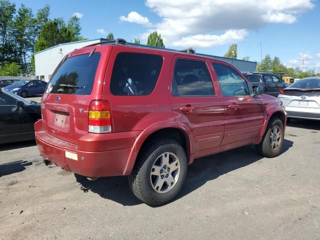 2005 Ford Escape Limited