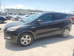 Salvage cars for sale from Copart Riverview, FL: 2013 Ford Escape SE