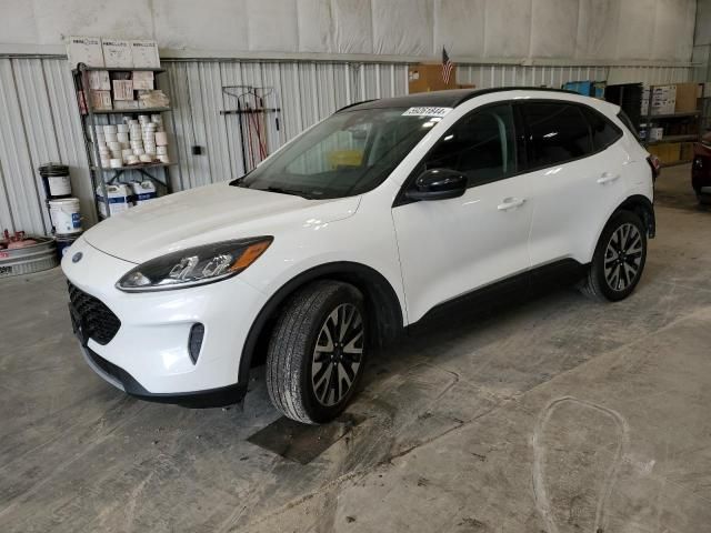 2020 Ford Escape SE Sport