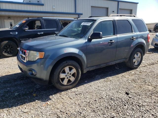 2010 Ford Escape XLT