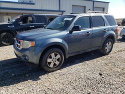 Ford Escape xlt salvage cars for sale: 2010 Ford Escape XLT