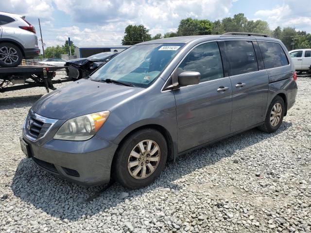 2010 Honda Odyssey EX