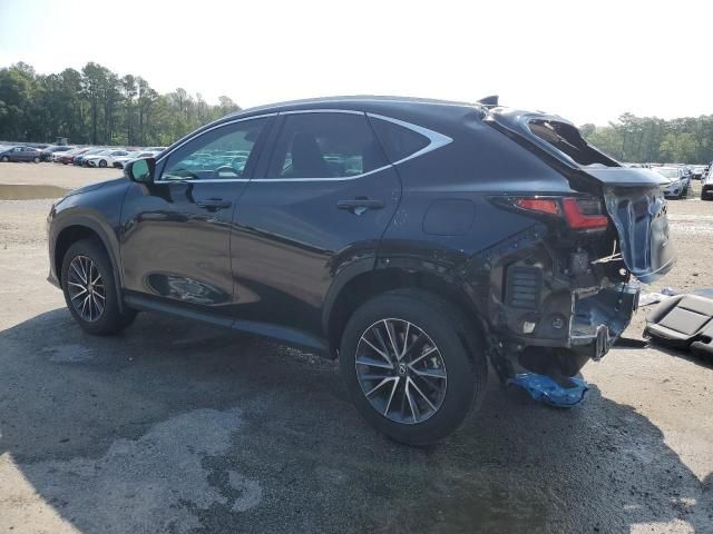 2024 Lexus NX 250 Base