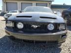 2005 Ford Mustang GT