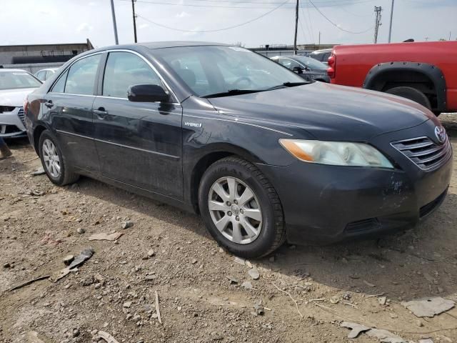 2009 Toyota Camry Hybrid