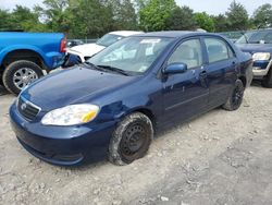 Toyota Vehiculos salvage en venta: 2008 Toyota Corolla CE