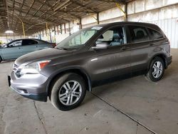 Honda cr-v exl salvage cars for sale: 2010 Honda CR-V EXL