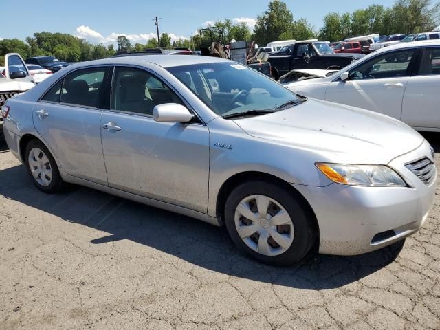 2009 Toyota Camry Hybrid