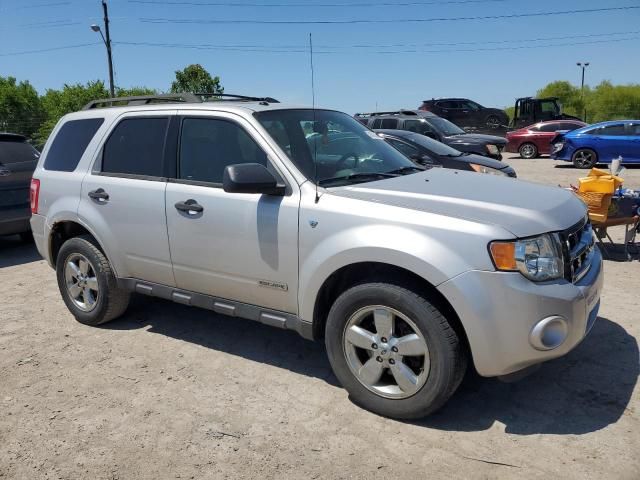 2008 Ford Escape XLT