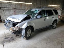 Ford Escape xlt salvage cars for sale: 2010 Ford Escape XLT