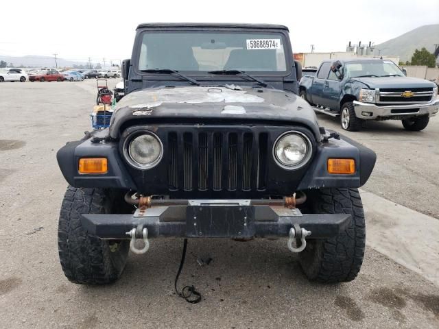 2003 Jeep Wrangler / TJ SE