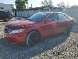 Salvage cars for sale from Copart Opa Locka, FL: 2010 Toyota Camry Base