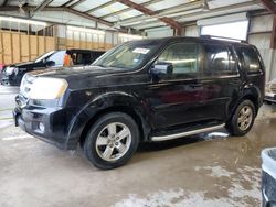 Honda salvage cars for sale: 2009 Honda Pilot EXL