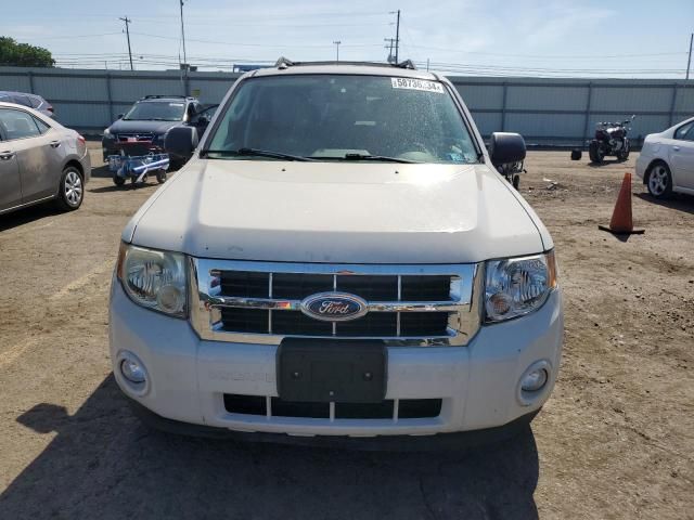 2009 Ford Escape XLT