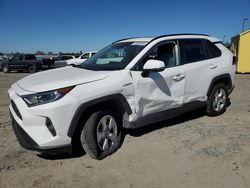 Salvage cars for sale from Copart Sacramento, CA: 2019 Toyota Rav4 XLE