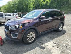 Carros con verificación Run & Drive a la venta en subasta: 2016 KIA Sorento LX