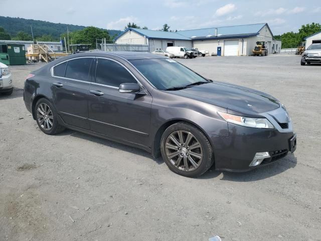 2010 Acura TL