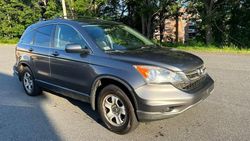 Honda cr-v exl salvage cars for sale: 2010 Honda CR-V EXL