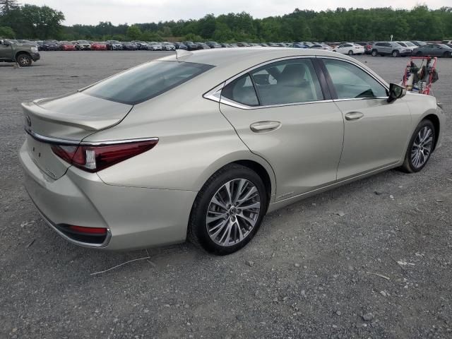 2020 Lexus ES 300H