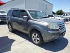 2009 Honda Pilot EXL