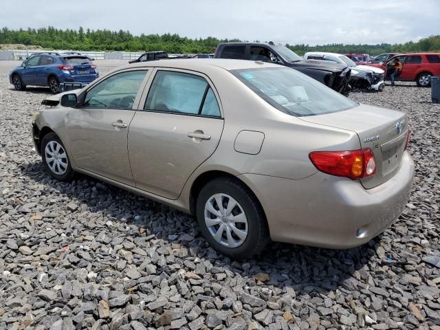 2010 Toyota Corolla Base