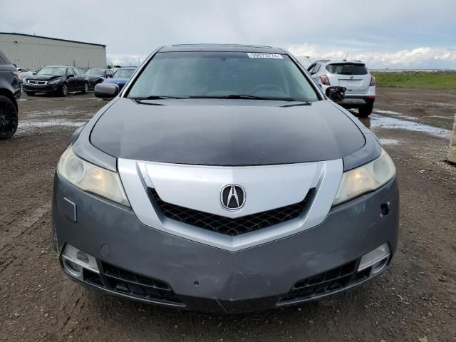 2009 Acura TL