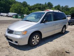 Salvage cars for sale at Mendon, MA auction: 2004 Honda Odyssey EX