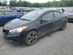 Salvage cars for sale at Grantville, PA auction: 2014 KIA Forte EX