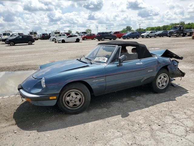 1987 Alfa Romeo Spider Veloce