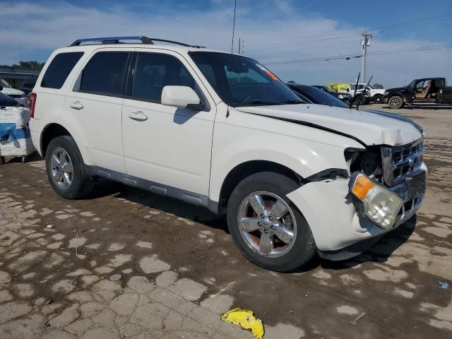 2009 Ford Escape Limited