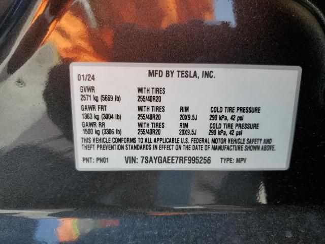 2024 Tesla Model Y