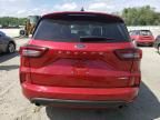 2024 Ford Escape ST Line Select