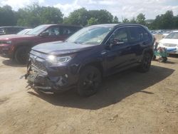 Salvage cars for sale at Marlboro, NY auction: 2019 Toyota Rav4 XSE