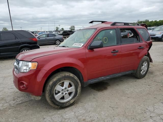 2011 Ford Escape XLT